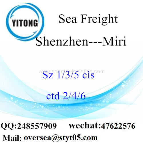 Shenzhen Port LCL Consolidation To Miri